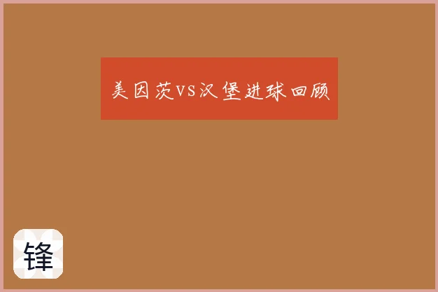 美因茨vs汉堡进球回顾